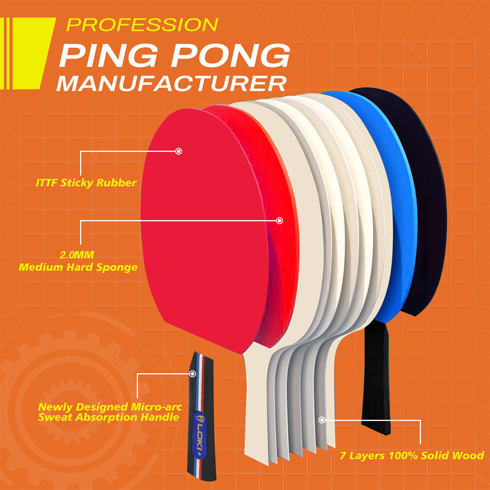 Gioco professionale da ping po - Table Tennis Indoor Or Outdoor recensione e prezzo