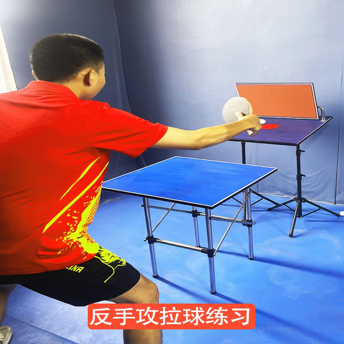 Tavola di rimbalzo per allenam - Table Tennis Trainer recensione e prezzo