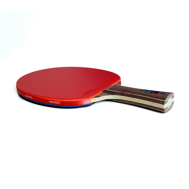 Lemuria EBENHOLZ - Racchetta d - Table Tennis Forehand Rubber recensione e prezzo