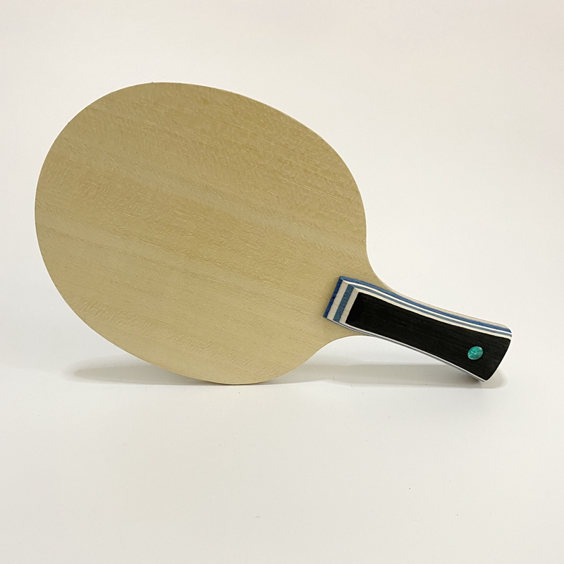 Racchetta da Ping Pong Lemuria - Table Tennis Zlc recensione e prezzo