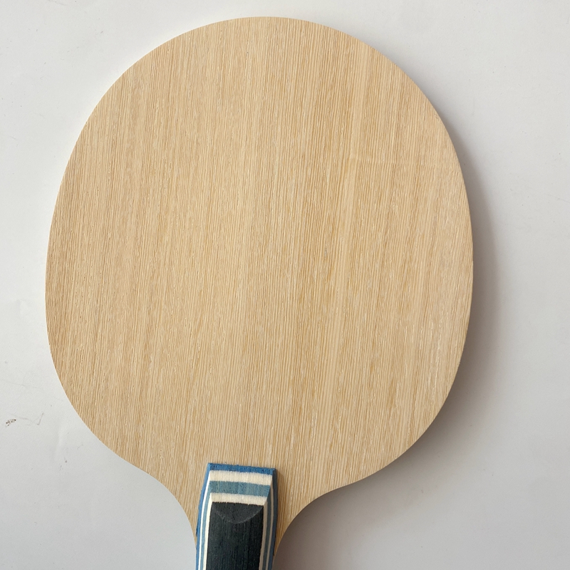 Racchetta da Ping Pong Lemuria - Table Tennis Zlc recensione e prezzo
