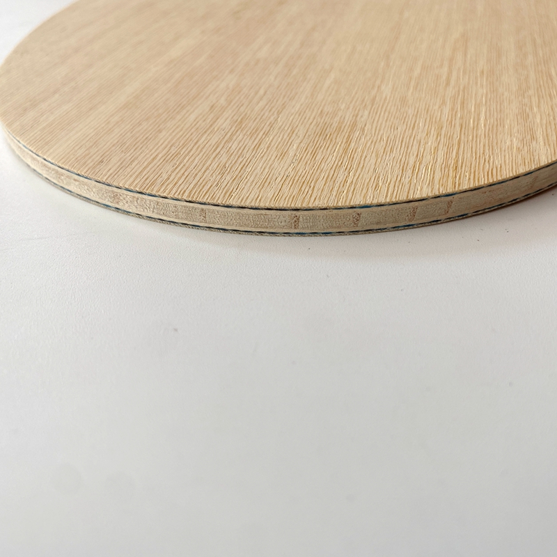 Racchetta da Ping Pong Lemuria - Table Tennis Zlc recensione e prezzo