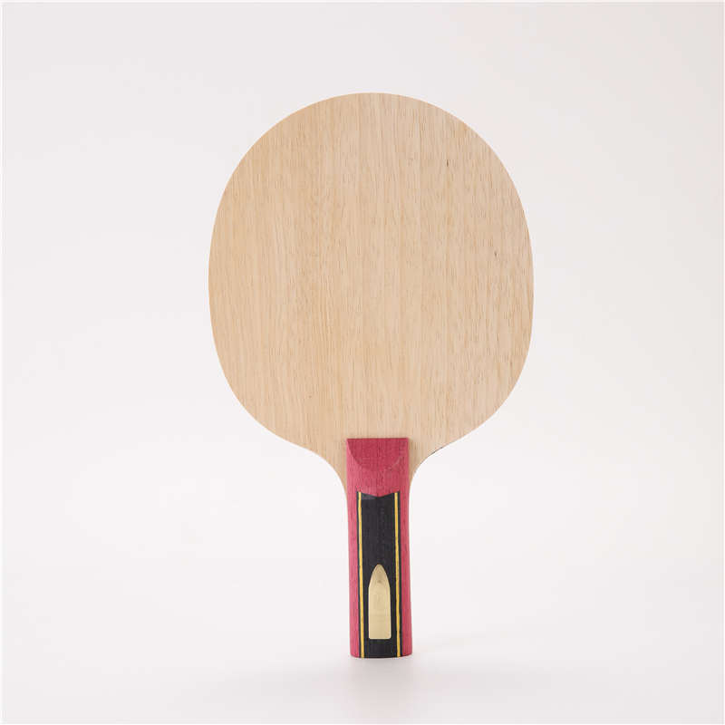 Stuor 5 strati di legno con 2  - Table Tennis Zlc recensione e prezzo
