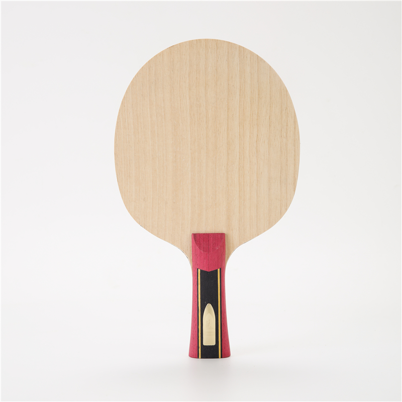 Stuor 5 strati di legno con 2  - Table Tennis Zlc recensione e prezzo