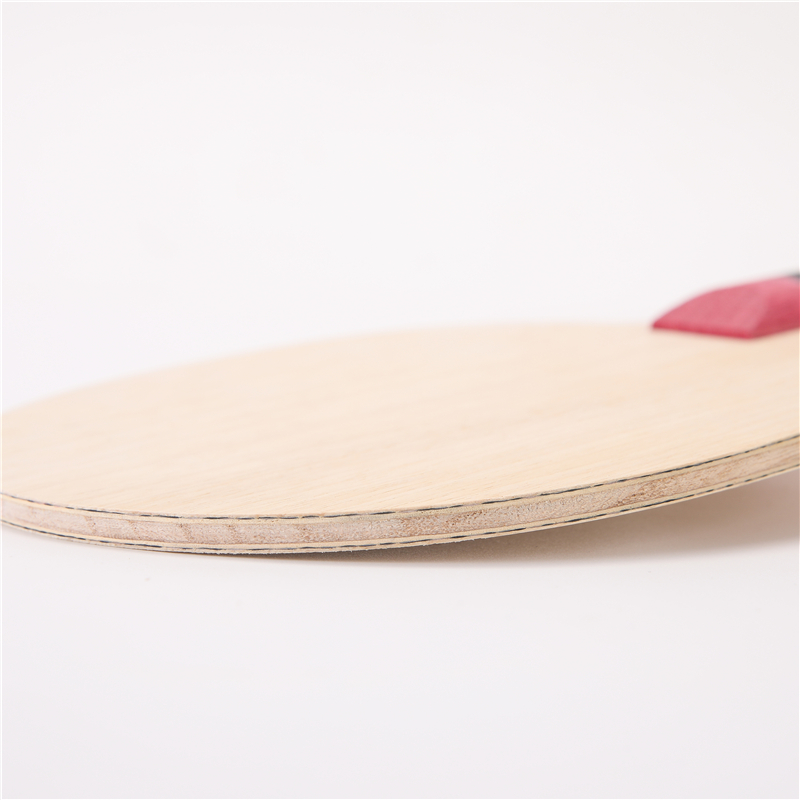 Stuor 5 strati di legno con 2  - Table Tennis Zlc recensione e prezzo
