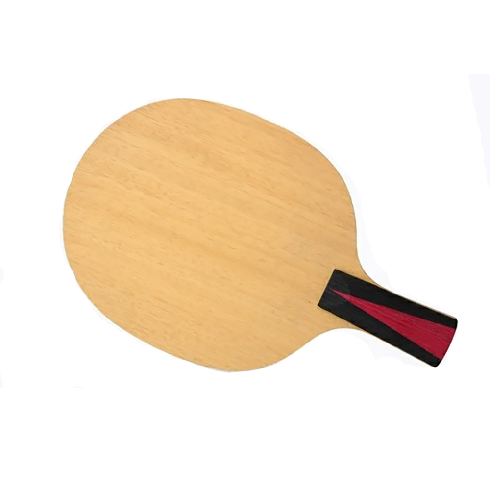 Racchetta da Ping Pong Profess - Table Tennis Zlc recensione e prezzo