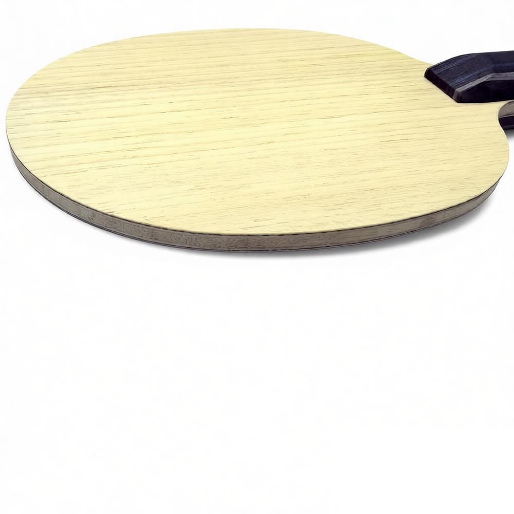 Racchetta da Ping Pong Fan Zhe - Table Tennis Zhendong recensione e prezzo